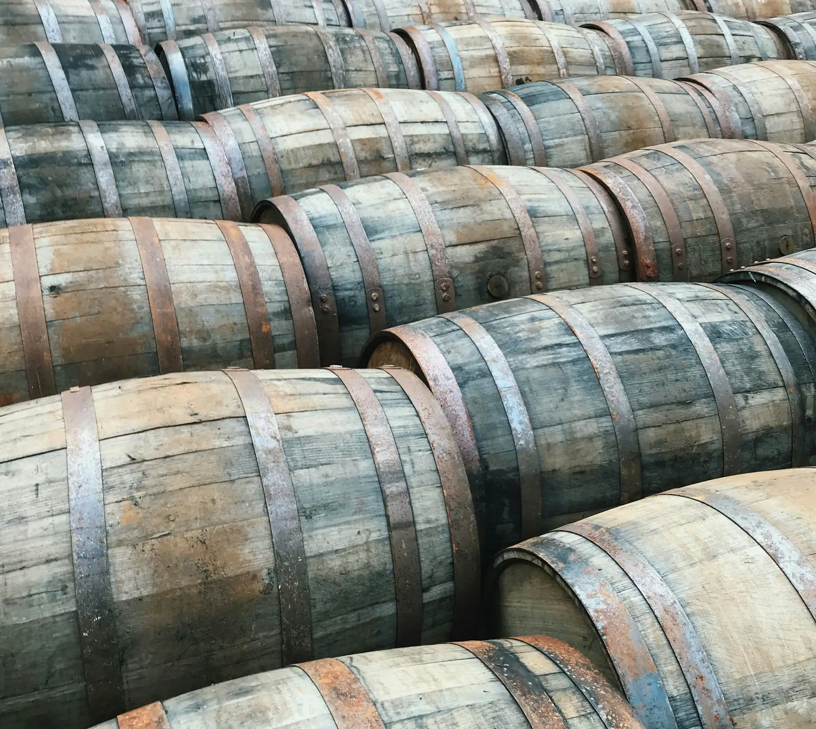 Rows of oak casks in a Scottish cask yard
